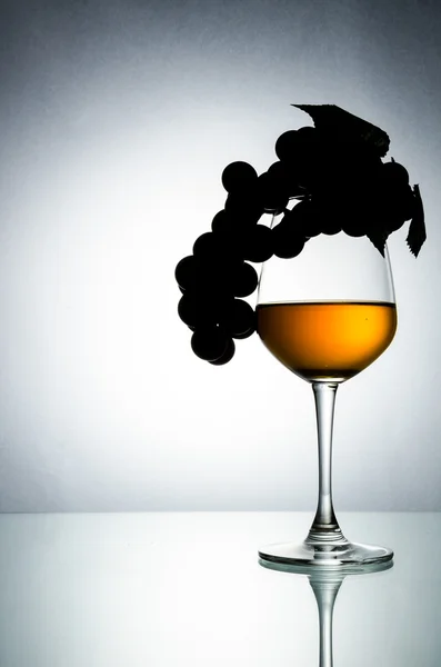 Wine glass — Stock Photo, Image