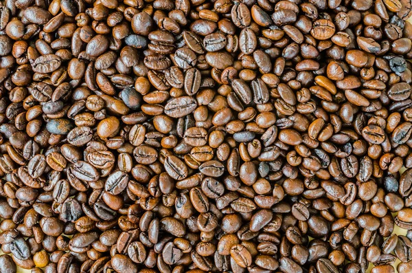 Sluiten Koffie Bonen — Stockfoto