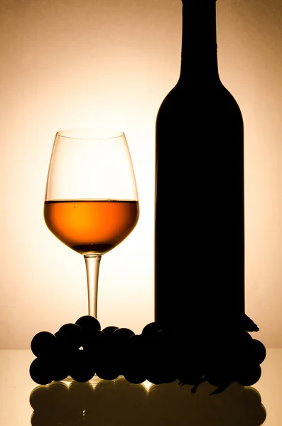 Botella y copa de vino — Foto de Stock