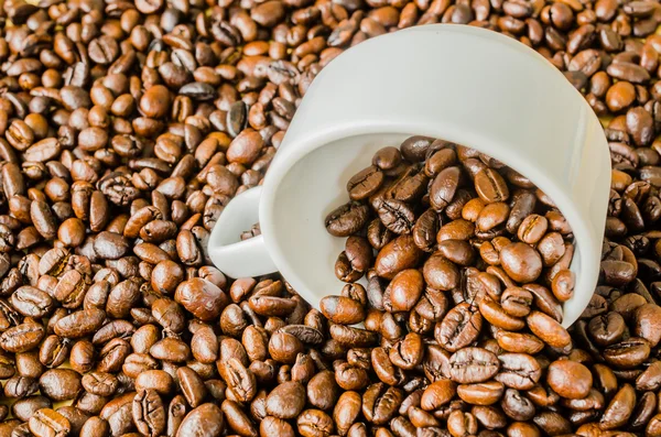 Coffee beans on cup — Stock Photo, Image