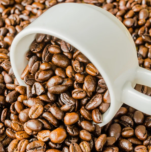 Coffee beans on cup — Stock Photo, Image