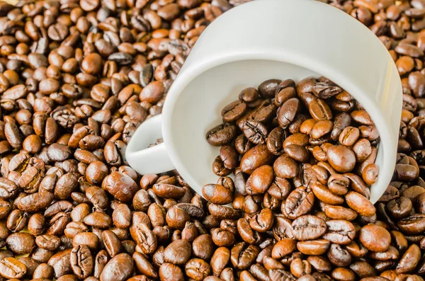 Coffee beans on cup — Stock Photo, Image