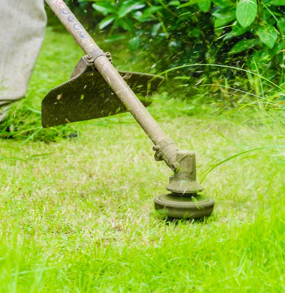 Gräsklippning — Stockfoto