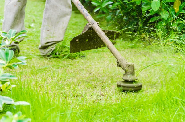 Gräsklippning — Stockfoto