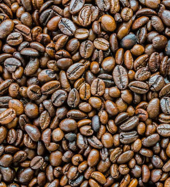 Fechar grãos de café — Fotografia de Stock