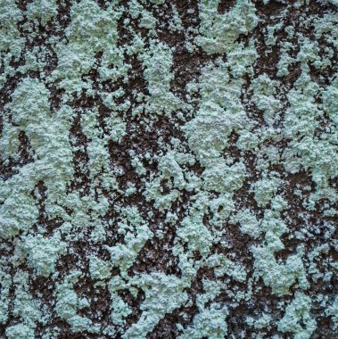 arka plan için taş doku