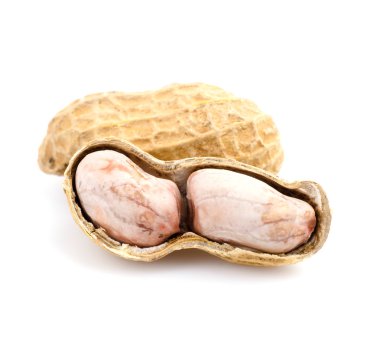 beyaz arkaplanda fıstık