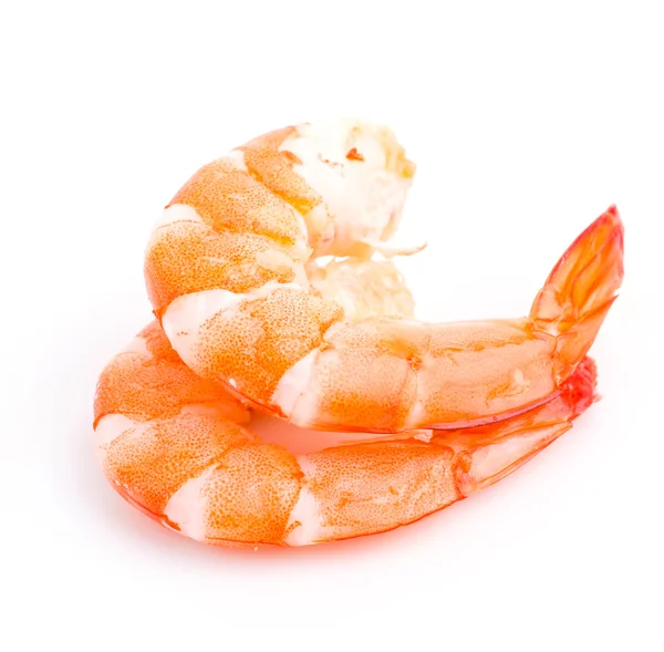 Crevettes sur fond blanc — Photo