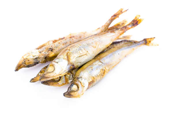 Shishamo-Fisch auf weißem Hintergrund — Stockfoto