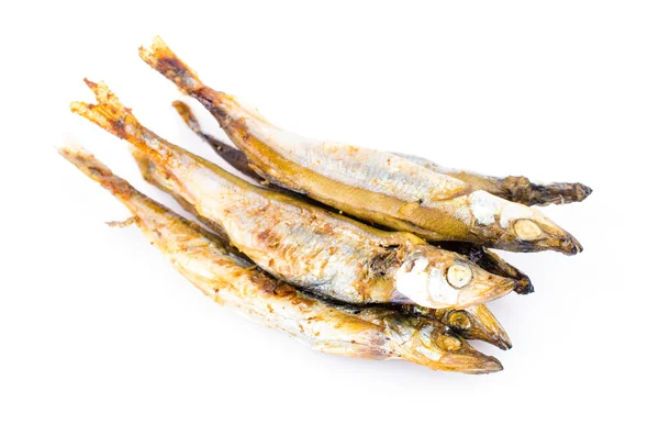 Shishamo pesce su sfondo bianco — Foto Stock