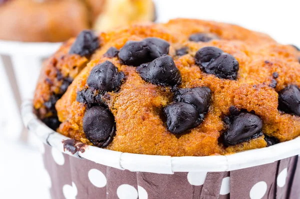 Cupcake aux pépites de chocolat sur fond blanc — Photo