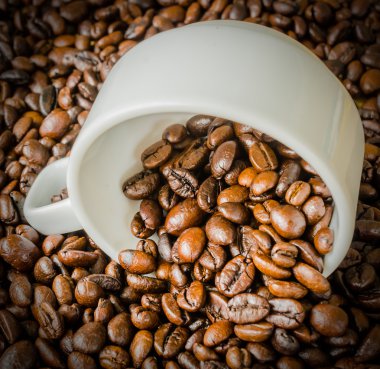 Cup Kahve çekirdekleri