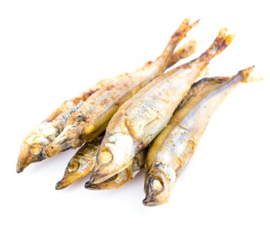 Shishamo.