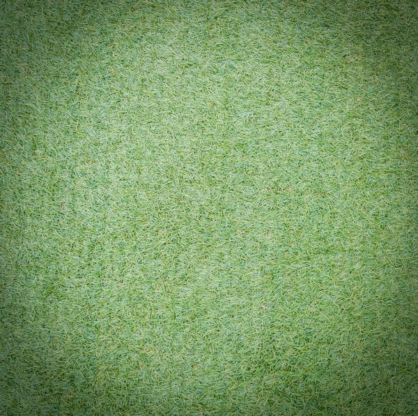 绿草纹理 — 图库照片