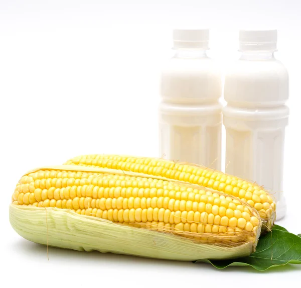 Corn — Stock Photo, Image