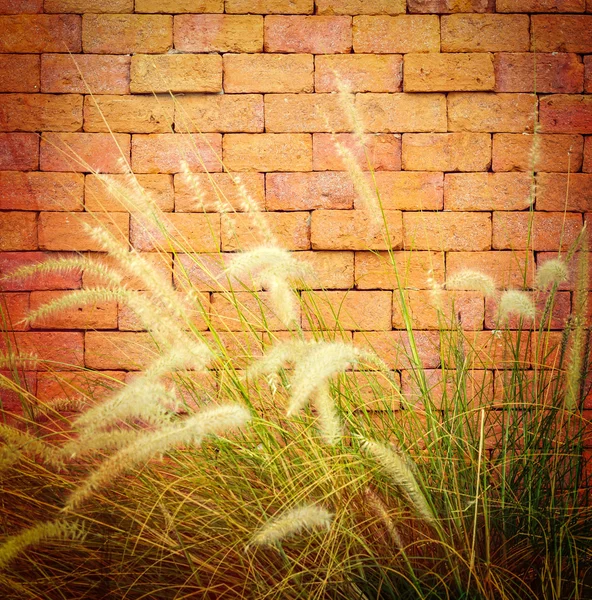 Stone wall — Stock Photo, Image