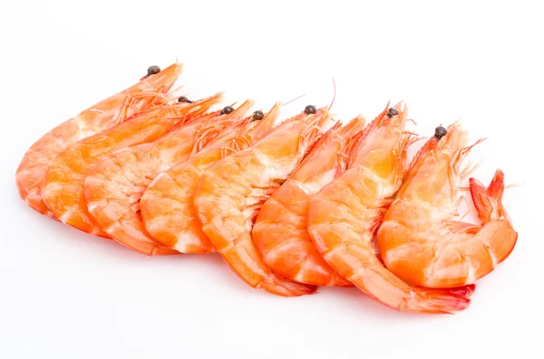 Shrimp — Stock Photo, Image