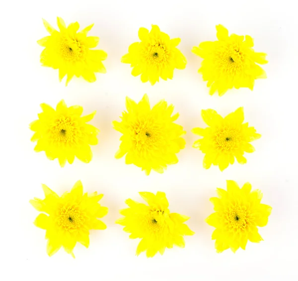 Yellow flower — Stock Photo, Image