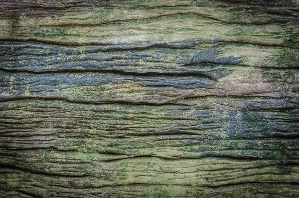 Struttura del legno — Foto Stock