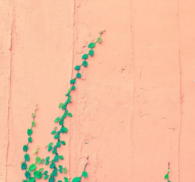 vintage tarzı sanat duvar kağıdı sürecinde