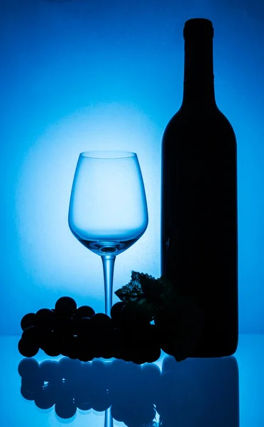 Copa de botella y vino — Foto de Stock