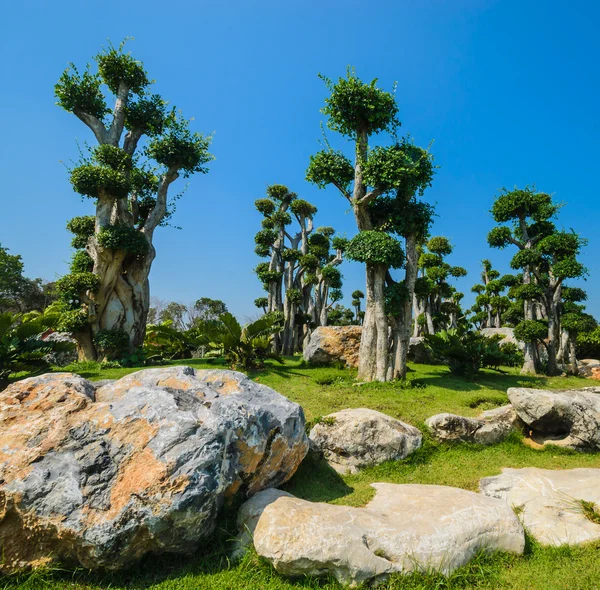 La nature dans le parc de la province de Bangthe . — Photo