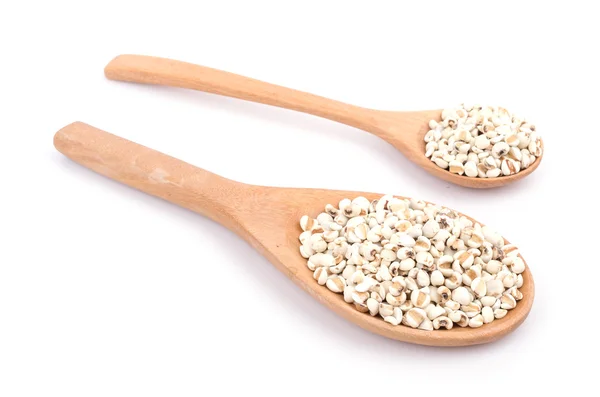 Millet — Stock Photo, Image