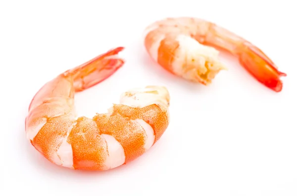 Shrimp — Stock Photo, Image