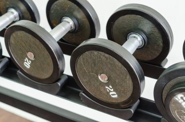 ağırlık plakaları