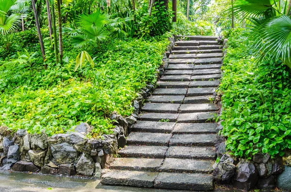 Footpath — Stock Photo, Image