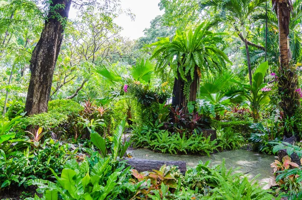 Parque — Fotografia de Stock