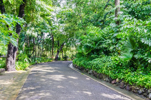 Fußweg — Stockfoto