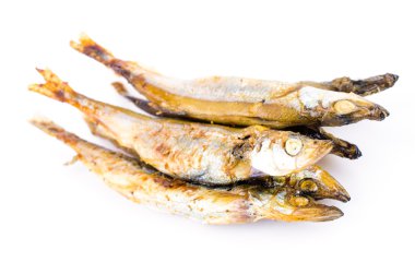 Shishamo.