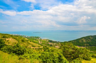 Top of view island in pattaya province clipart