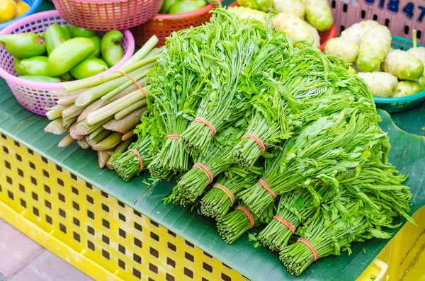 Acacia pennata in local street market — Stock Photo, Image