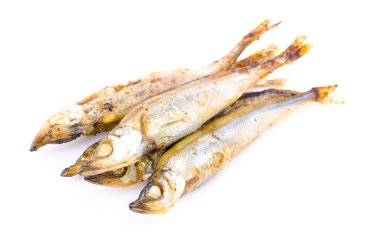 Shishamo.