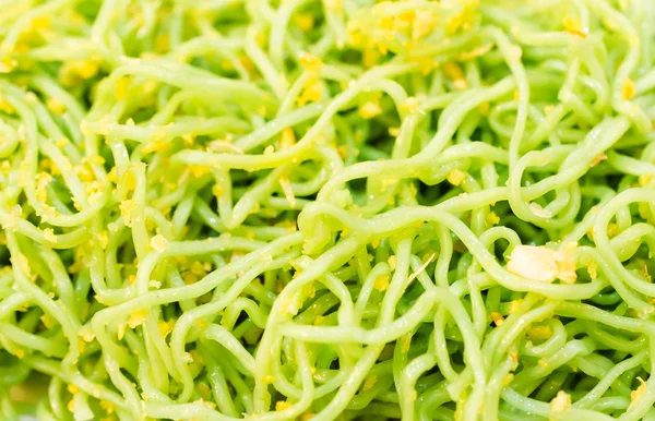 Grön pasta — Stockfoto