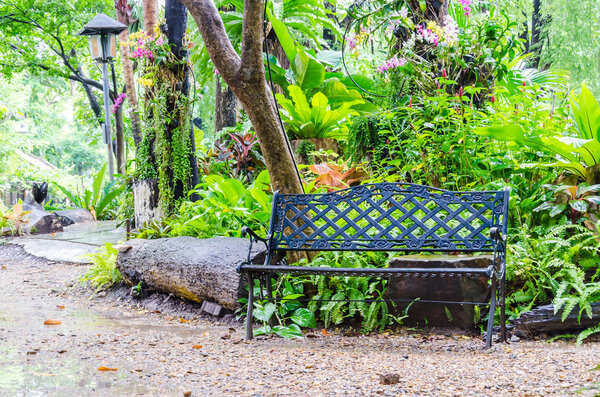 Bench in the garden park