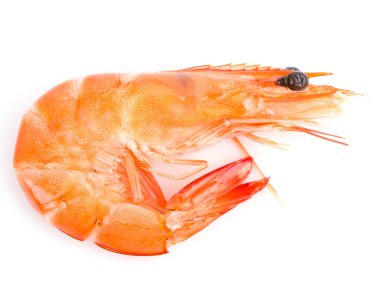 Beyaz arkaplanda karides