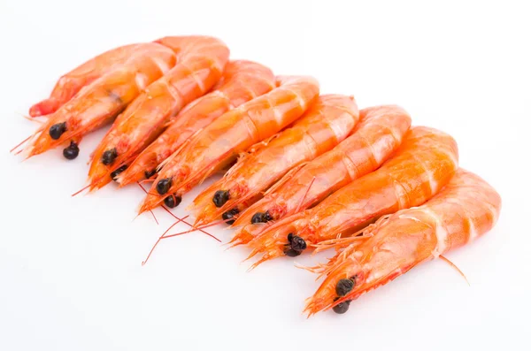 Shrimp on white background — Stock Photo, Image