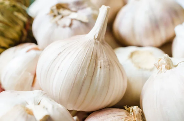 Garlic — Stock Photo, Image