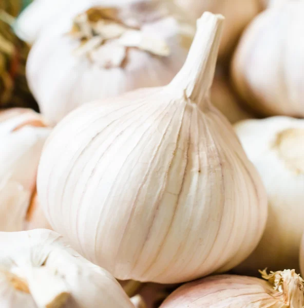 Garlic — Stock Photo, Image