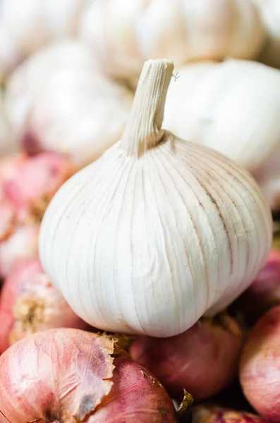 Garlic — Stock Photo, Image