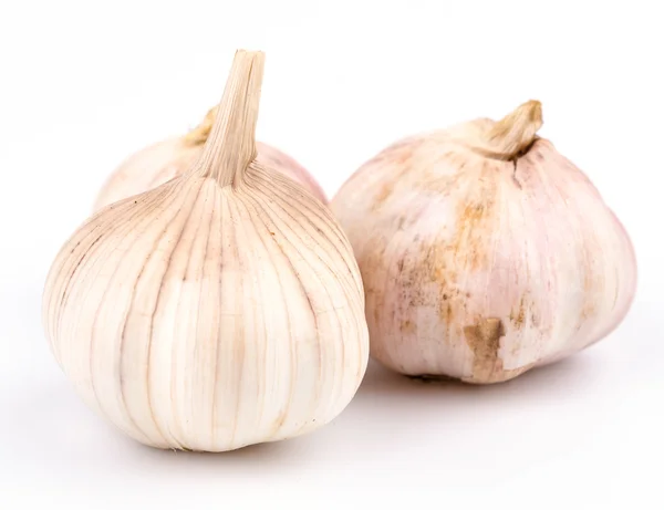 Garlic on isolated white background — Stock Photo, Image