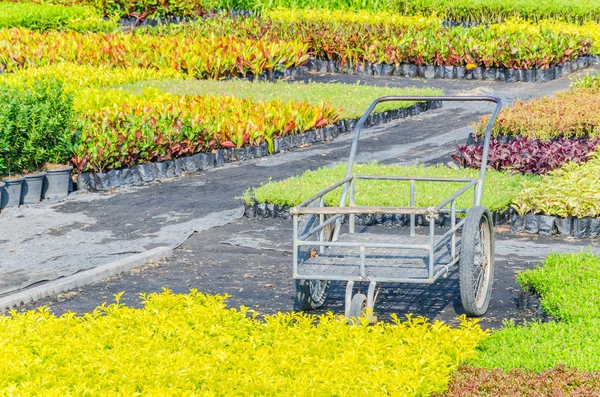 Garten — Stockfoto