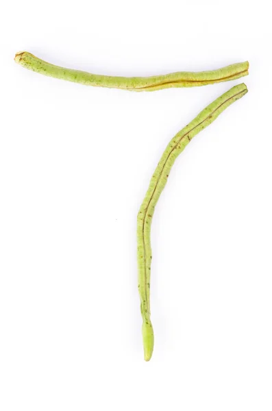 Ervilha-longa — Fotografia de Stock