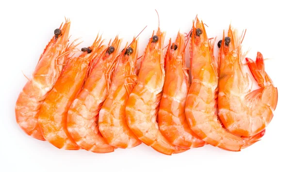 Shrimp — Stock Photo, Image