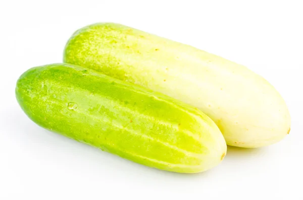 Pepino — Foto de Stock