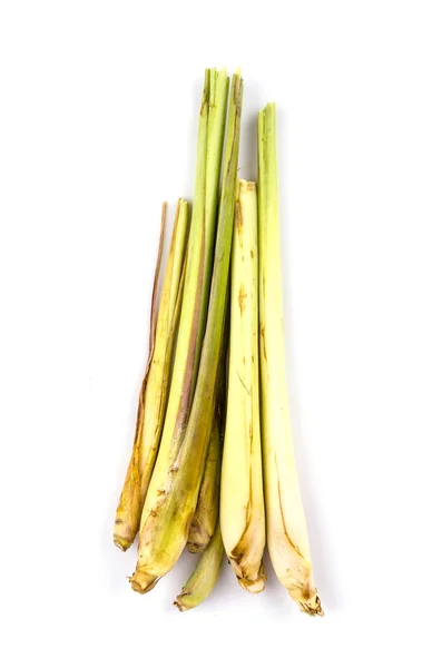 Lemongrass — Stock Photo, Image