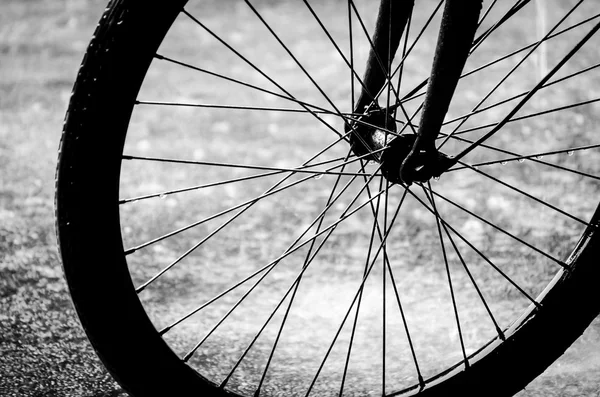 Bisiklet Tekerleği